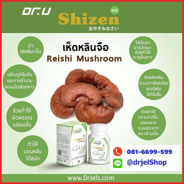 อาหารเสริม Shizen หลินจือ